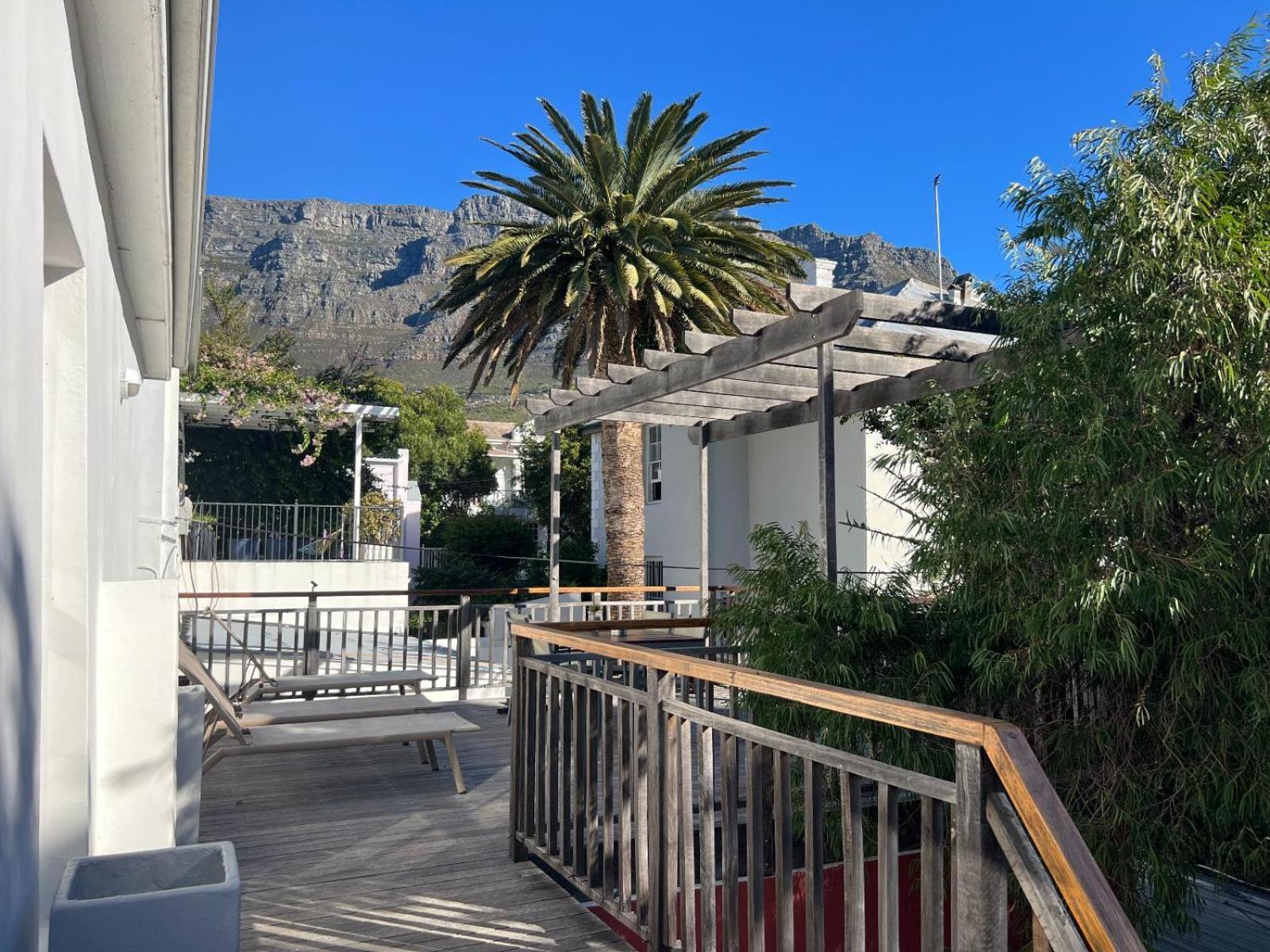 Cactusberry * Kaapstad