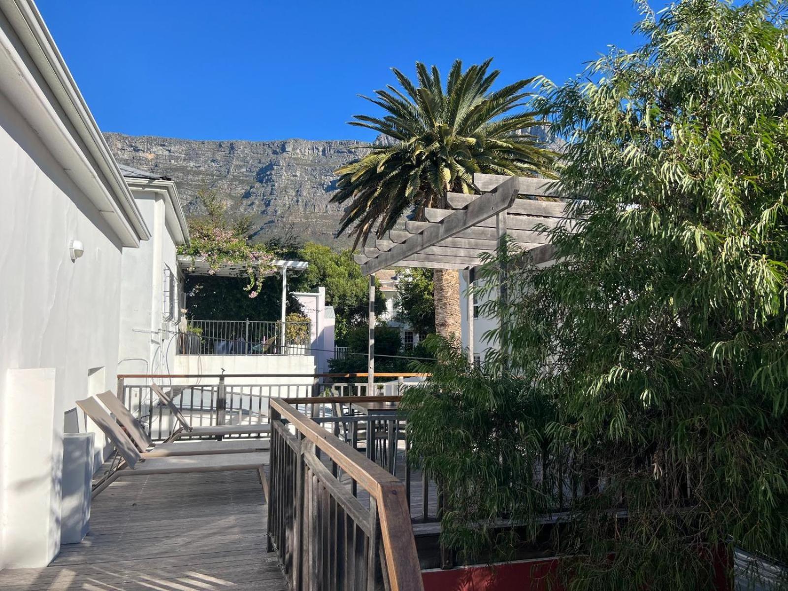 Cactusberry Cape Town